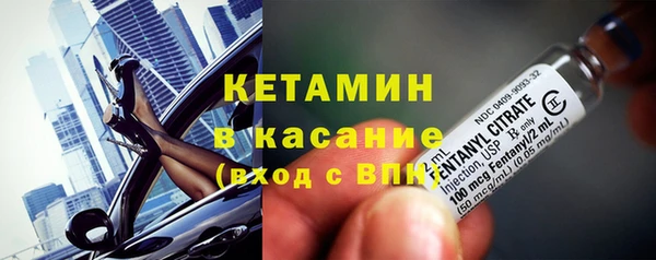 гидра Богородицк