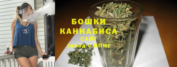 гидра Богородицк
