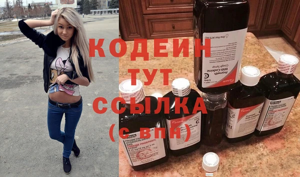прущий лед Богданович