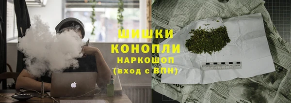 гидра Богородицк