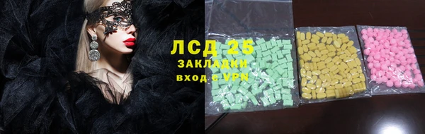 гидра Богородицк