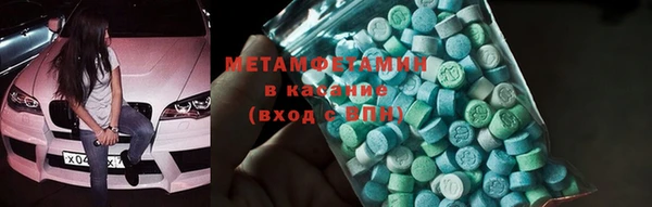 гидра Богородицк