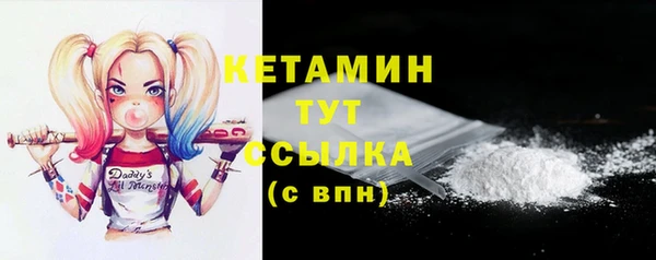 гидра Богородицк