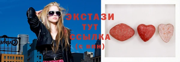 гидра Богородицк