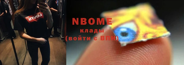 прущий лед Богданович