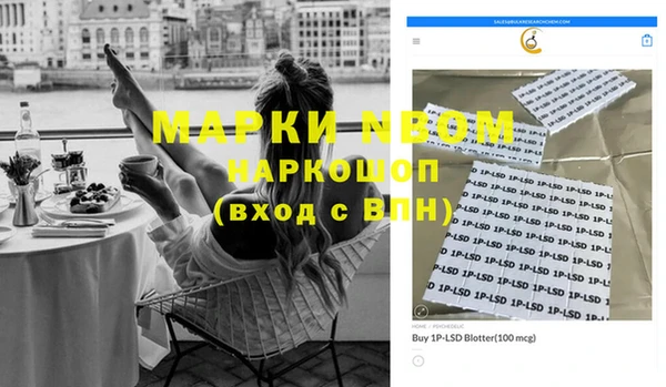 гидра Богородицк