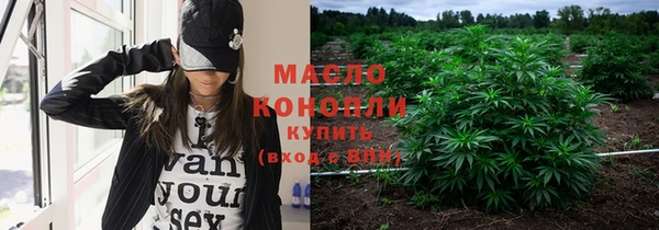 прущий лед Богданович