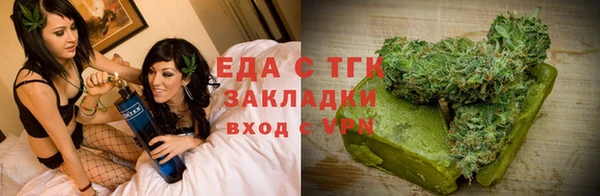 гидра Богородицк