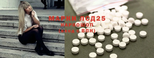 гидра Богородицк