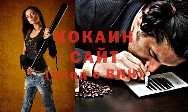 прущий лед Богданович