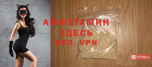 гидра Богородицк